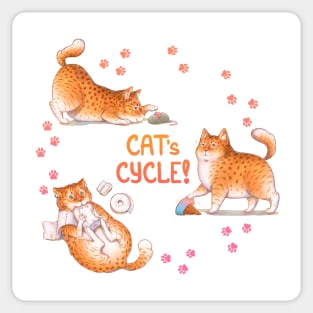 Cat's Cycle (Orange) Sticker